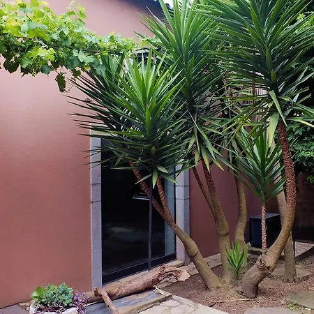 Family Secrets Santo Andre Vila