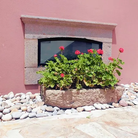 Family Secrets Santo André *