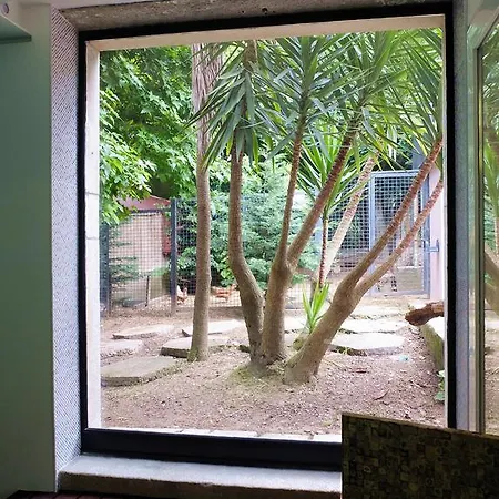 Family Secrets Santo André