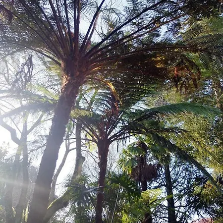 Family Secrets Santo André