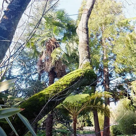 Family Secrets Santo André *