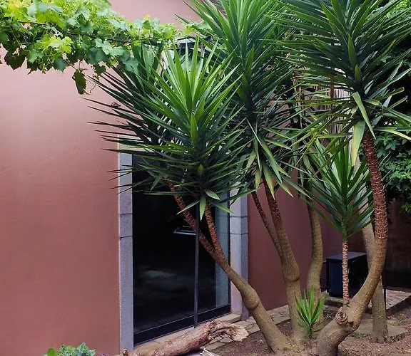 Family Secrets Santo Andre Villa