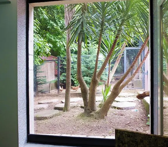 Family Secrets Santo Andre