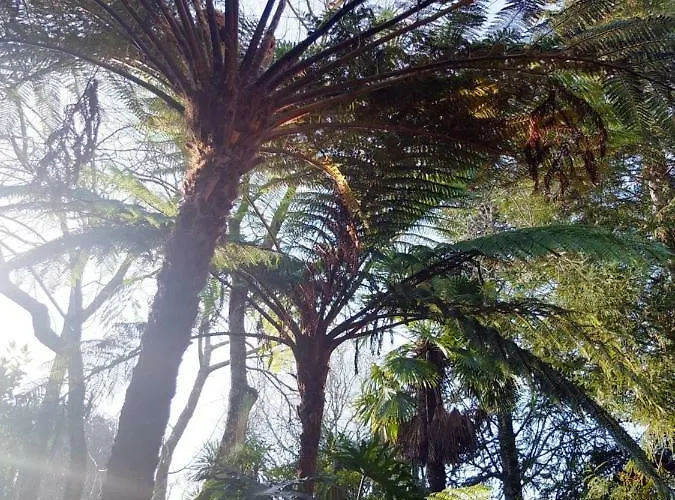 Family Secrets Santo Andre