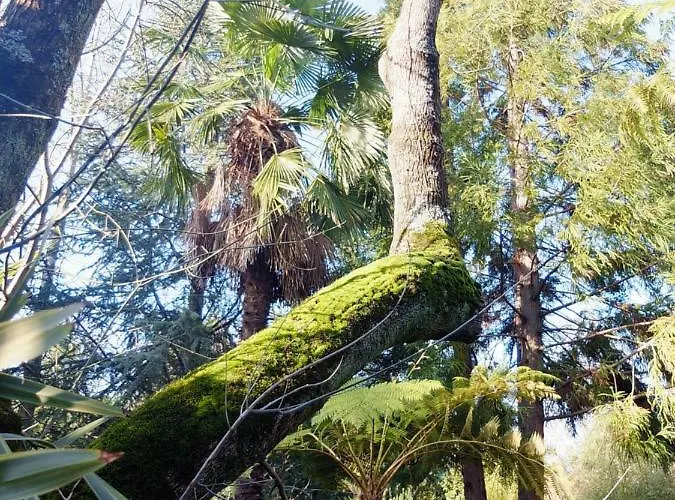 Family Secrets Santo Andre *